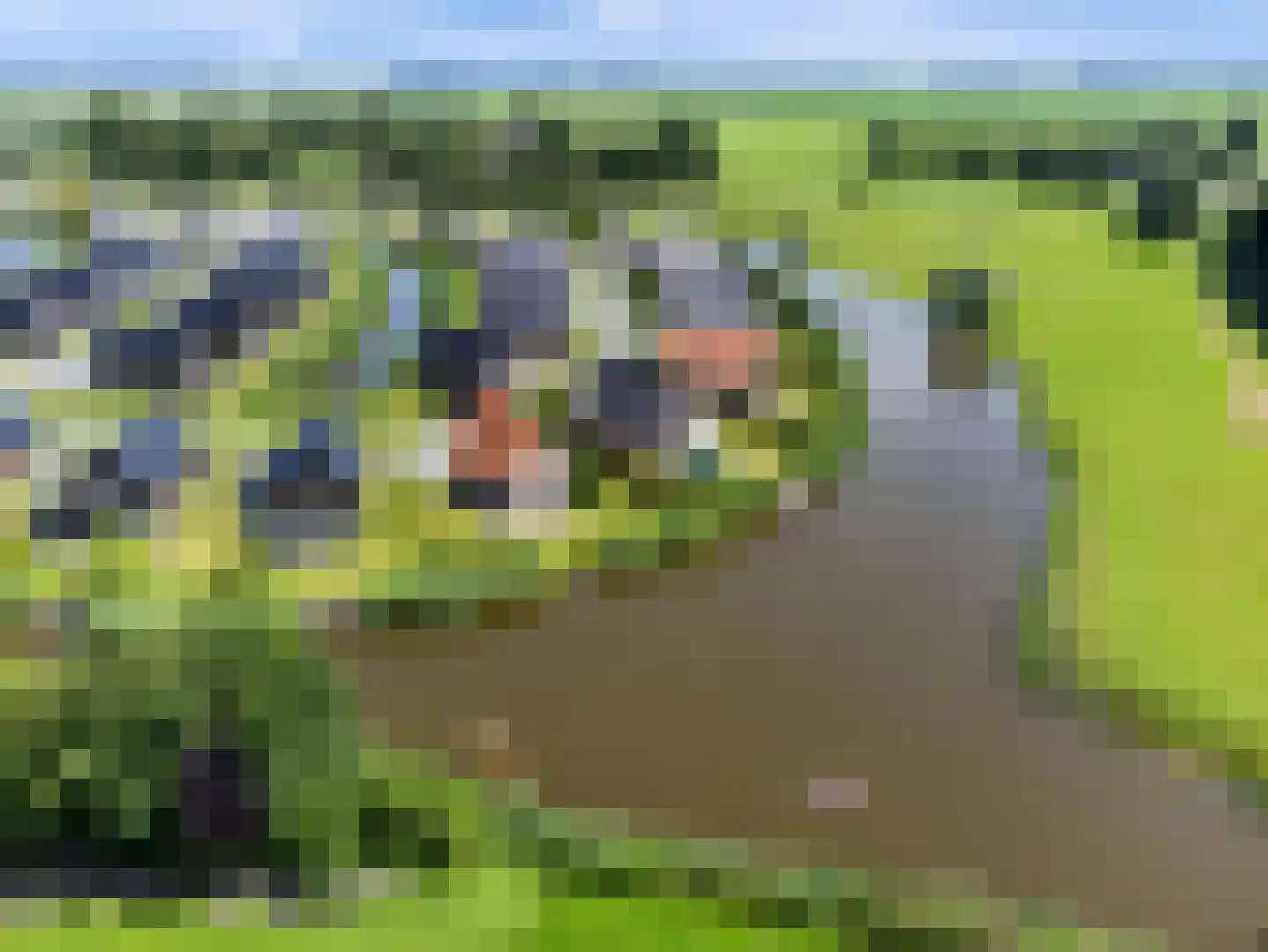 De Terp 24 Witmarsum thumbnail 25