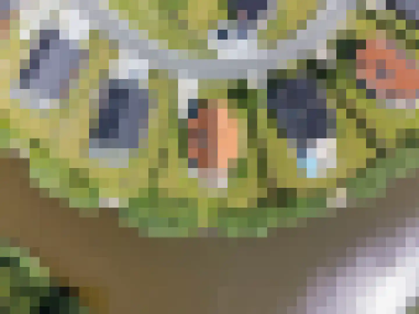 De Terp 24 Witmarsum thumbnail 27