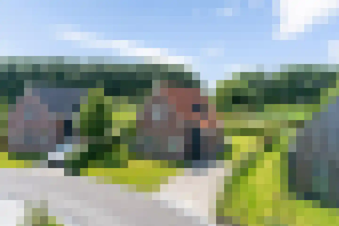 De Terp 24 Witmarsum thumbnail 31