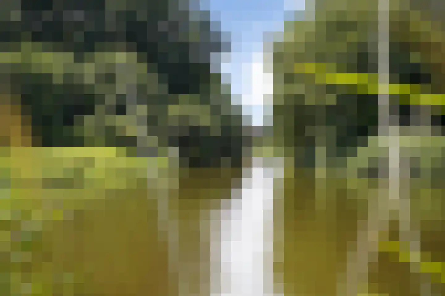 De Terp 24 Witmarsum thumbnail 4