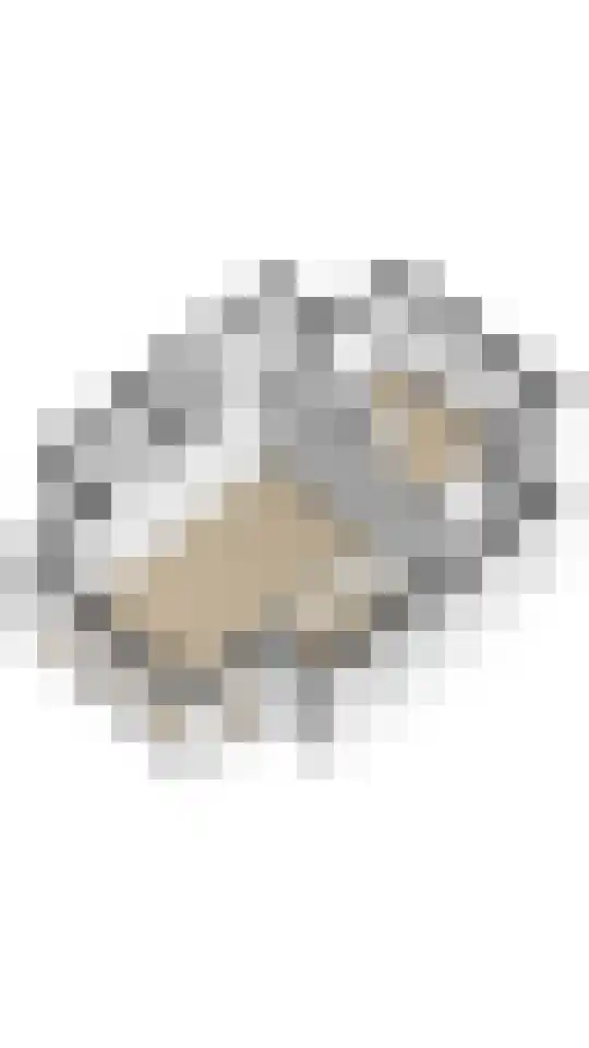 De Terp 24 Witmarsum thumbnail 41