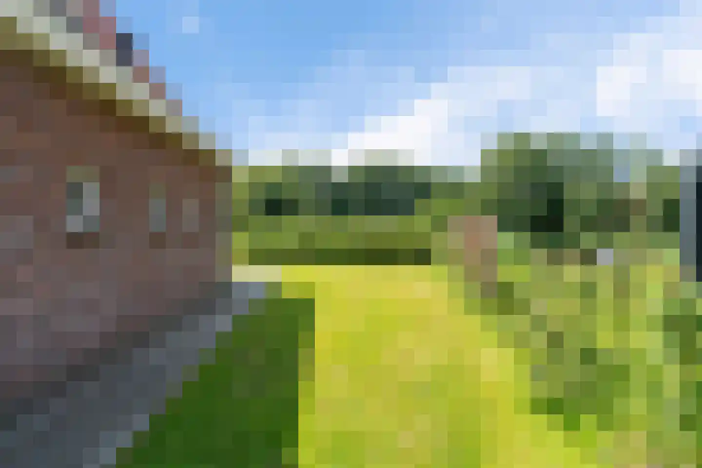 De Terp 24 Witmarsum thumbnail 6