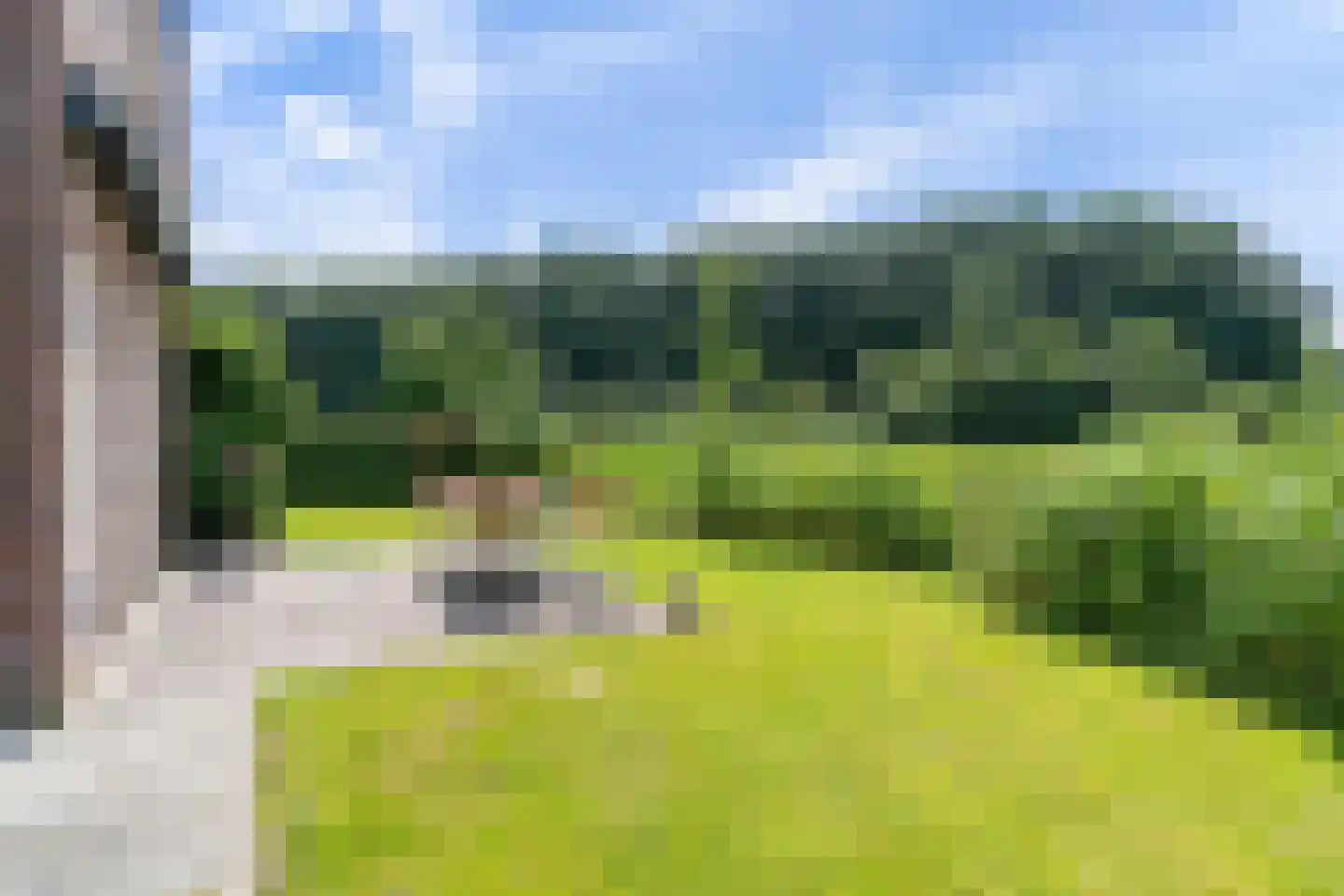 De Terp 24 Witmarsum thumbnail 8