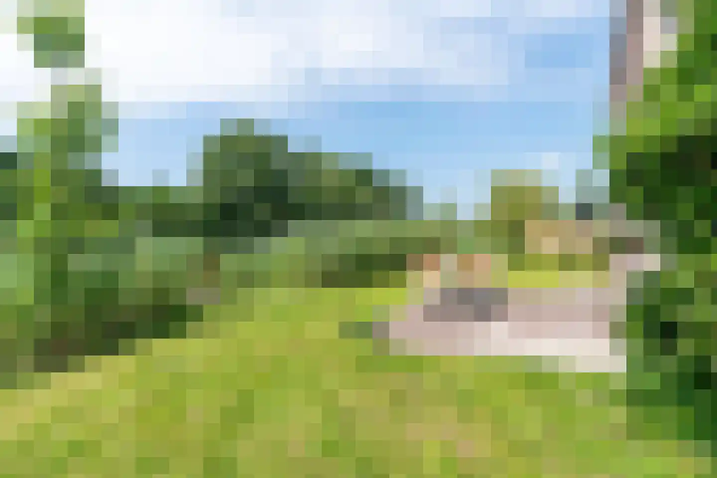 De Terp 24 Witmarsum thumbnail 9