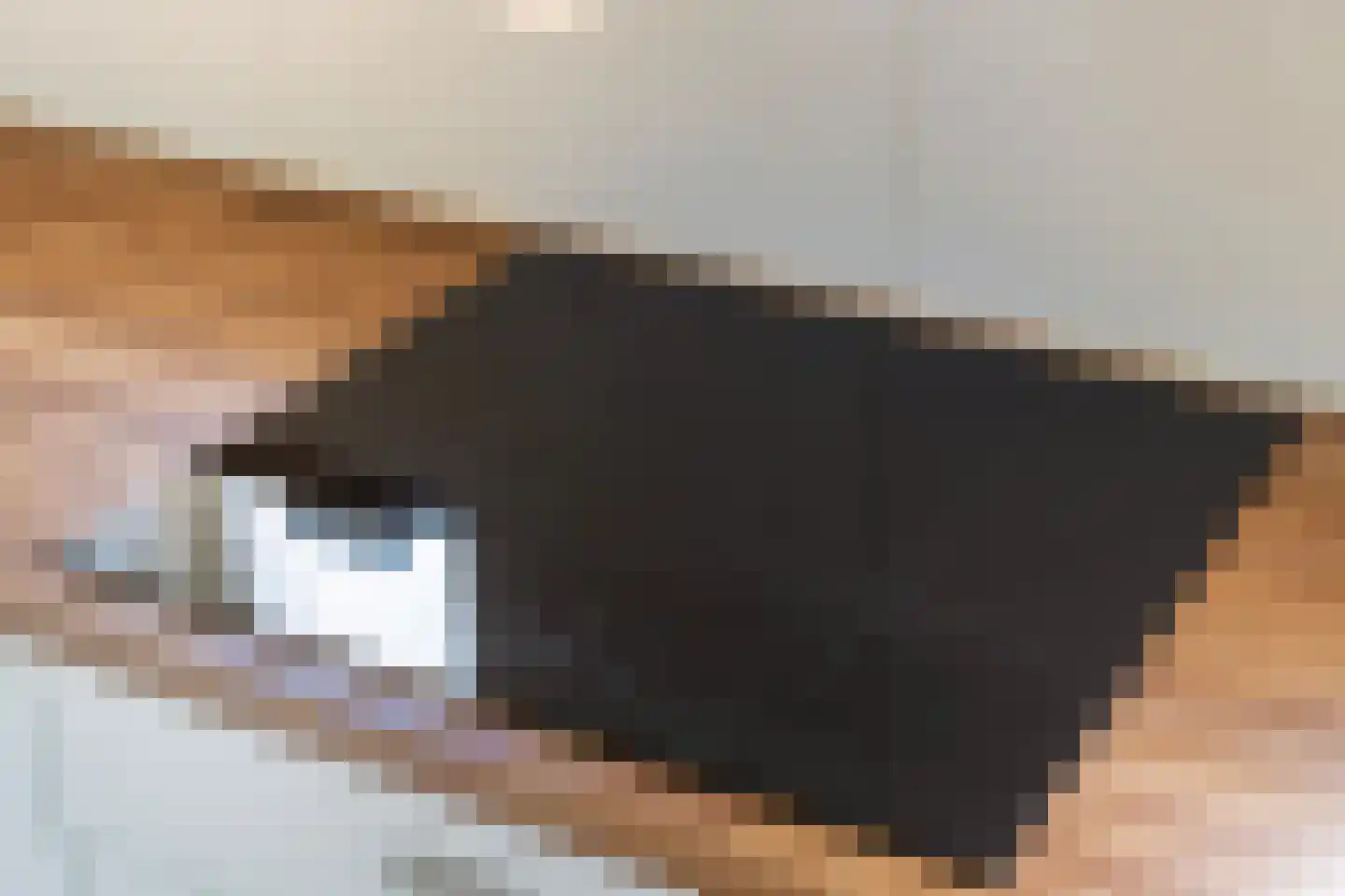 De Terp 26 Witmarsum thumbnail 18