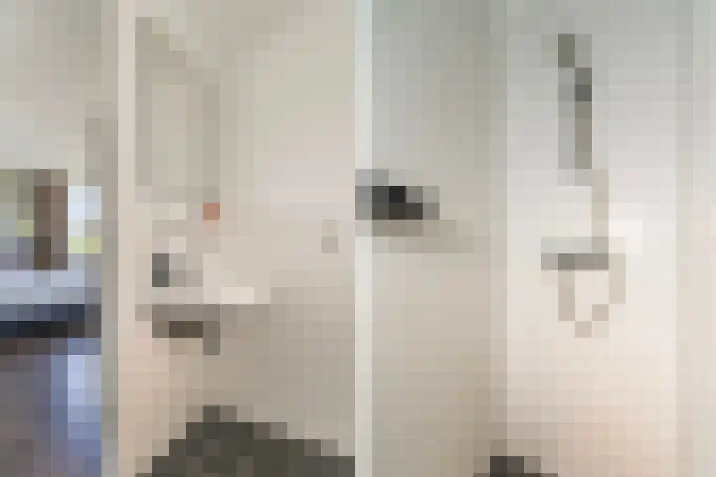De Terp 26 Witmarsum thumbnail 23