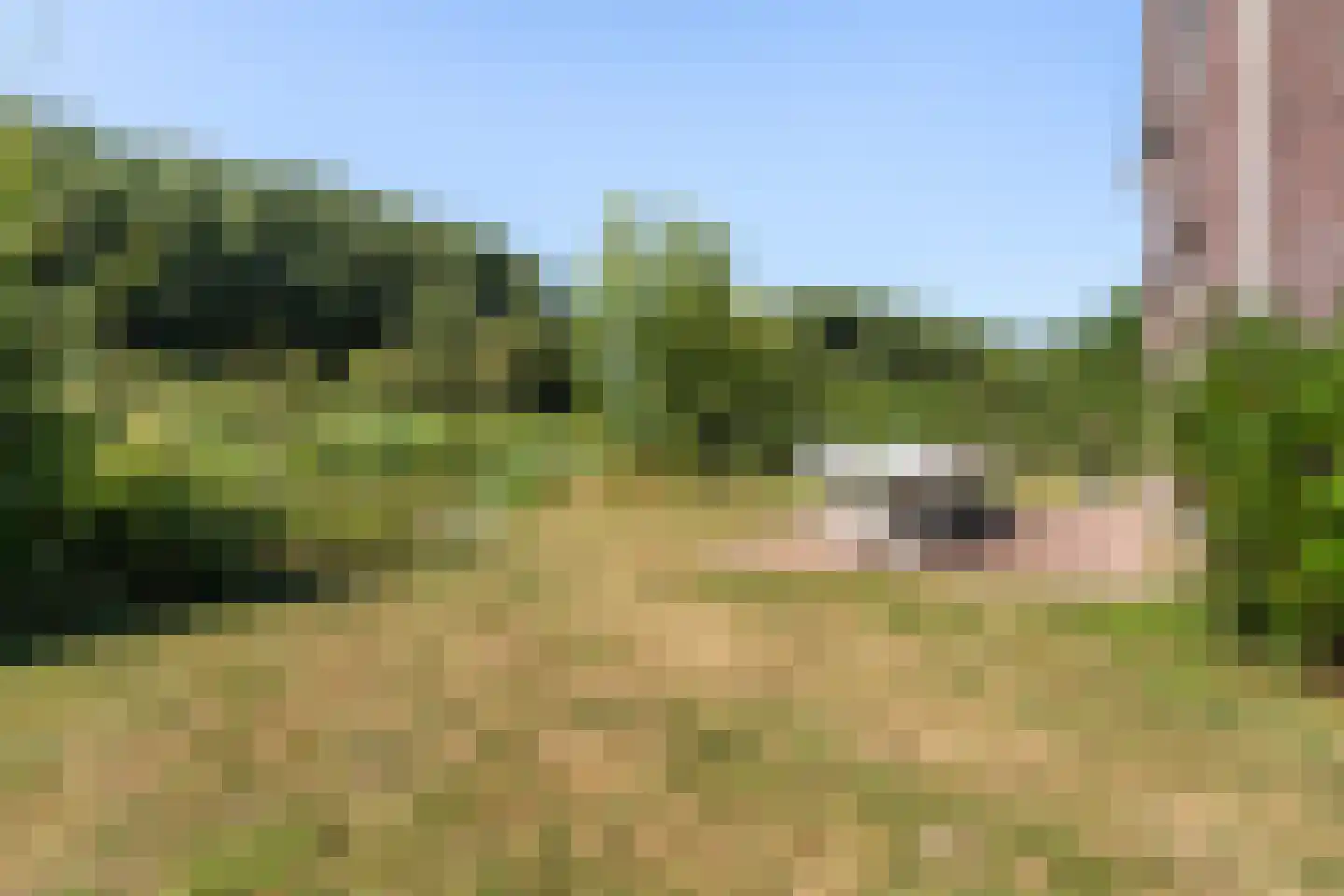 De Terp 26 Witmarsum thumbnail 39