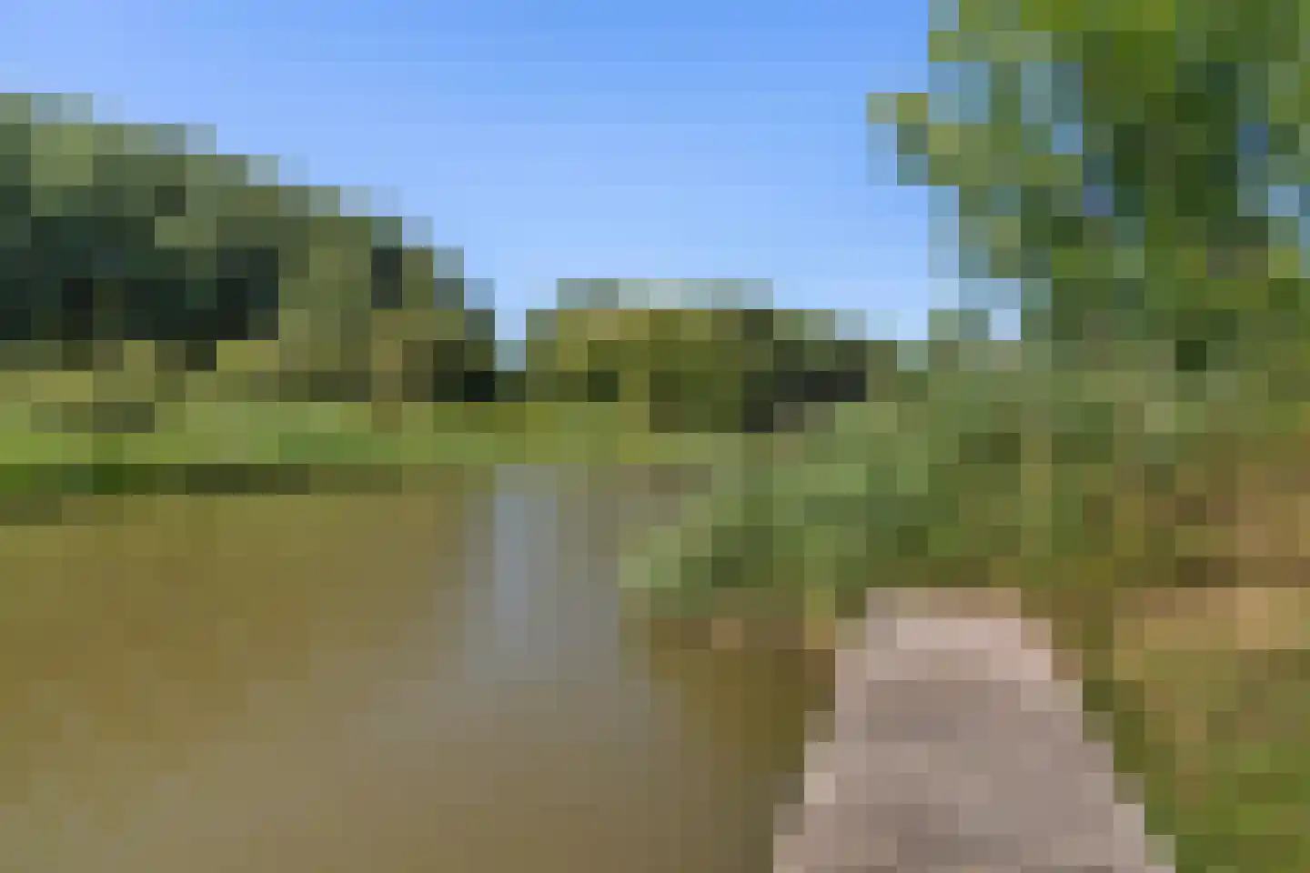 De Terp 26 Witmarsum thumbnail 41