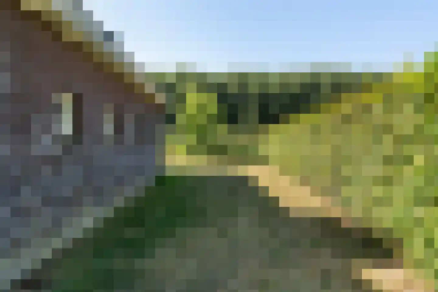 De Terp 26 Witmarsum thumbnail 43