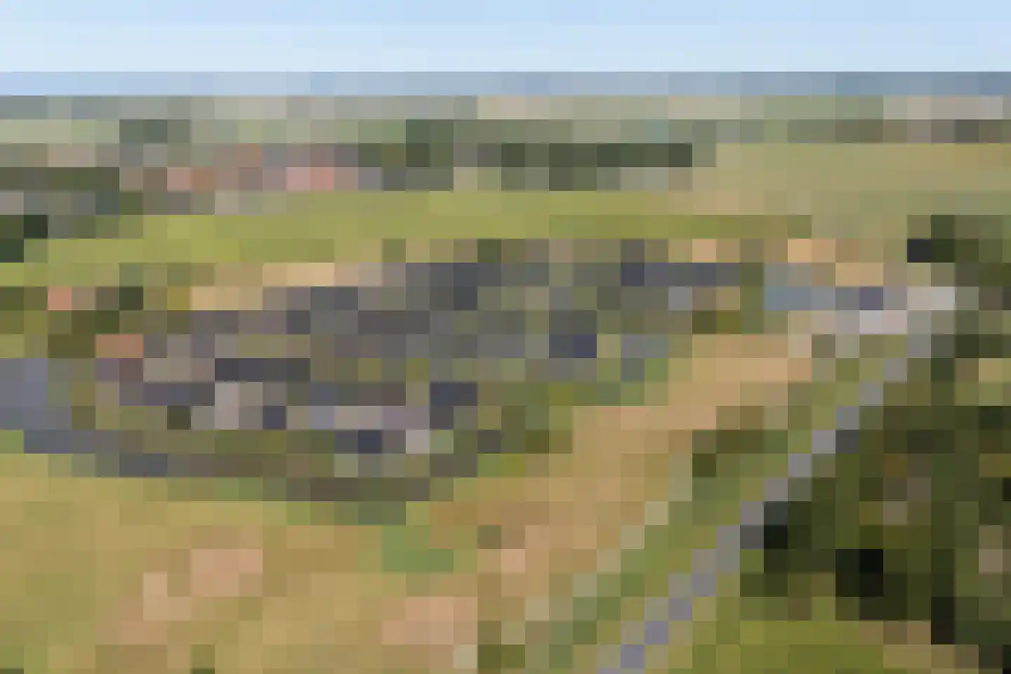 De Terp 26 Witmarsum thumbnail 54