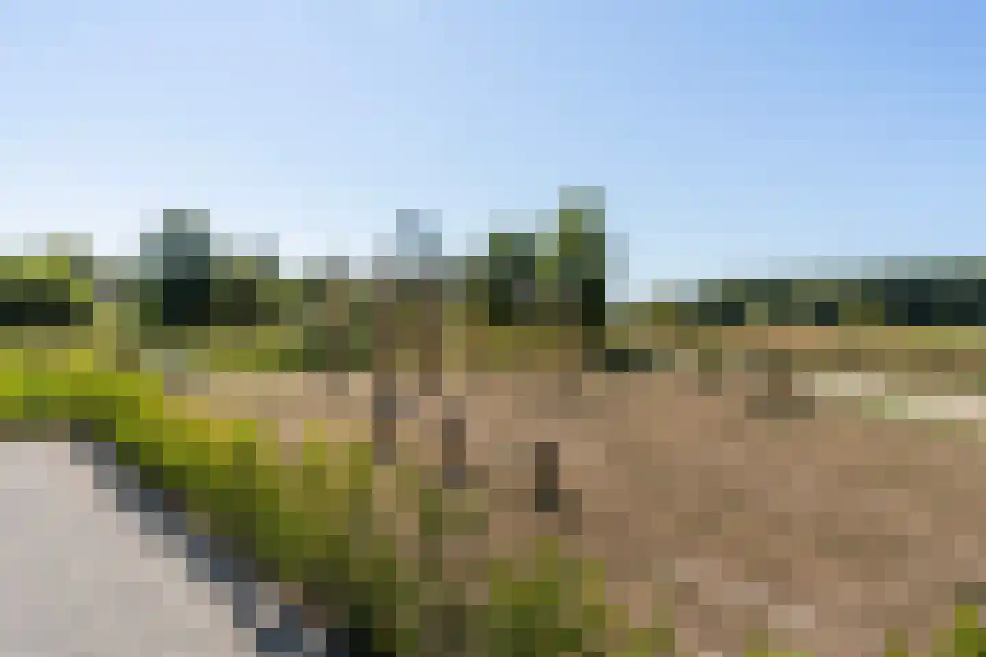 De Terp 26 Witmarsum thumbnail 61