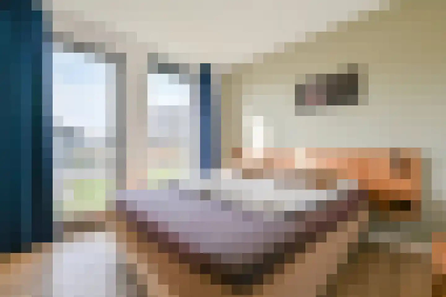 De Terp 3 Witmarsum thumbnail 10