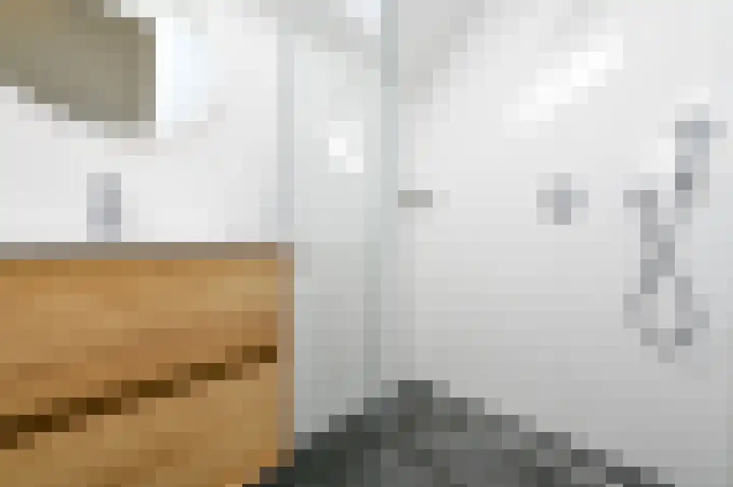 De Terp 3 Witmarsum thumbnail 18