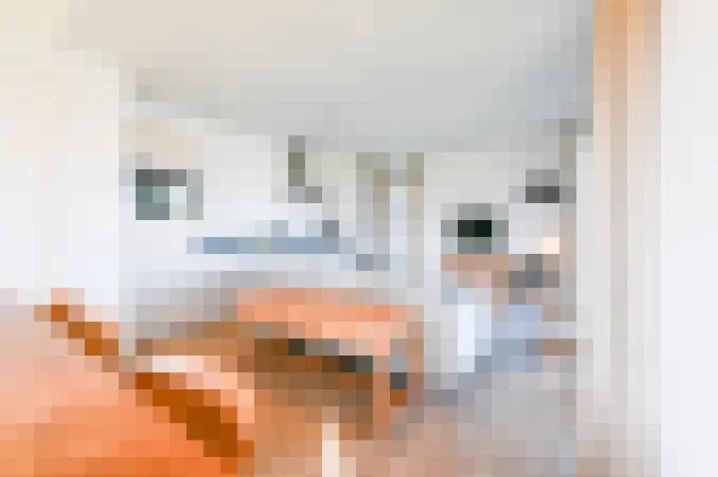 De Terp 3 Witmarsum thumbnail 5