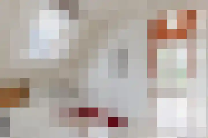 De Terp 3 Witmarsum thumbnail 7