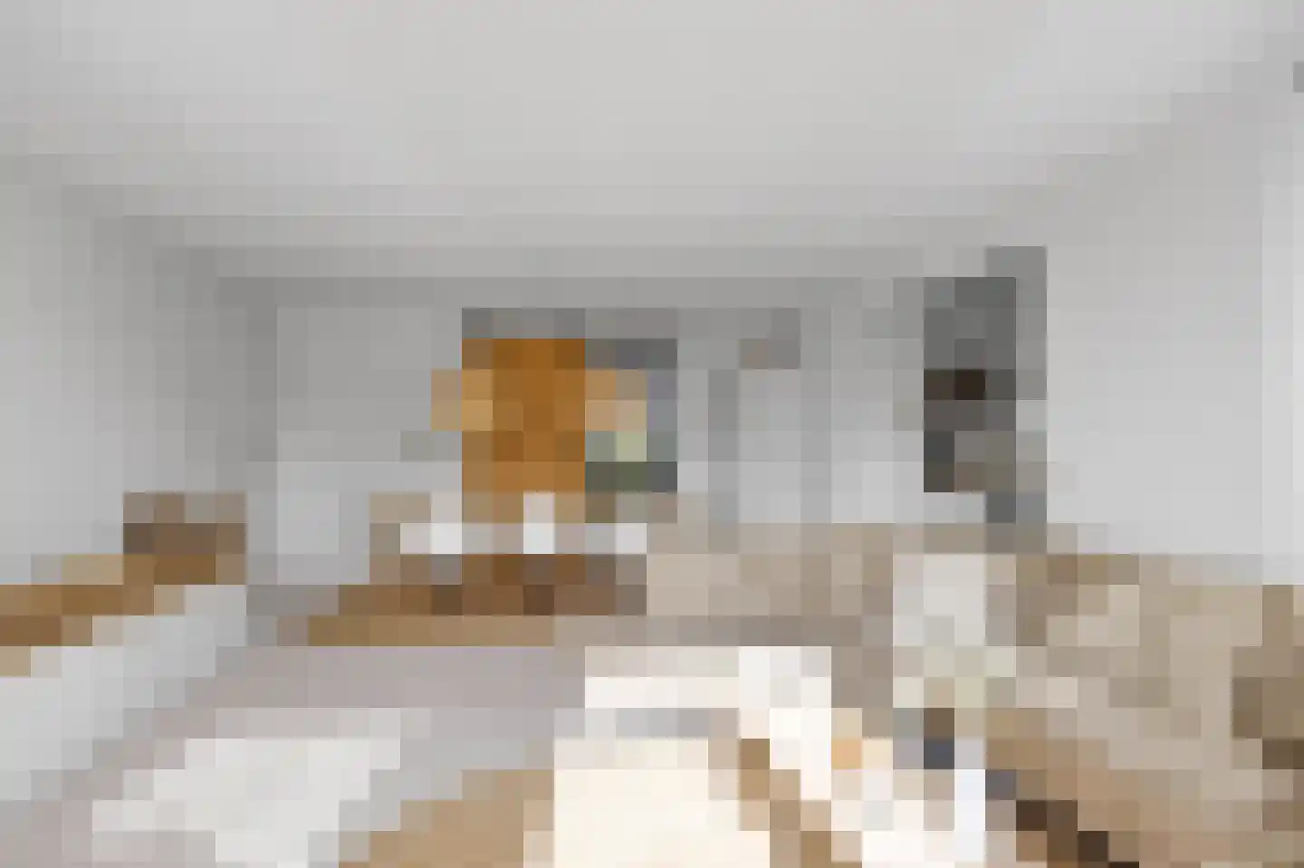 De Terp 33 Witmarsum thumbnail 12
