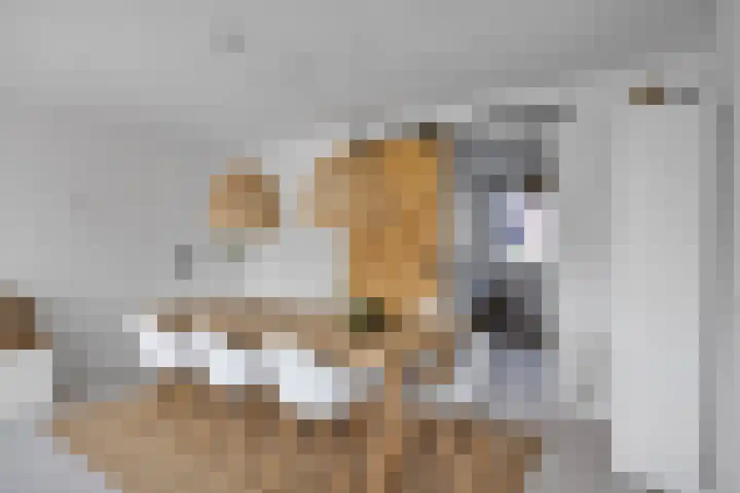 De Terp 33 Witmarsum thumbnail 15