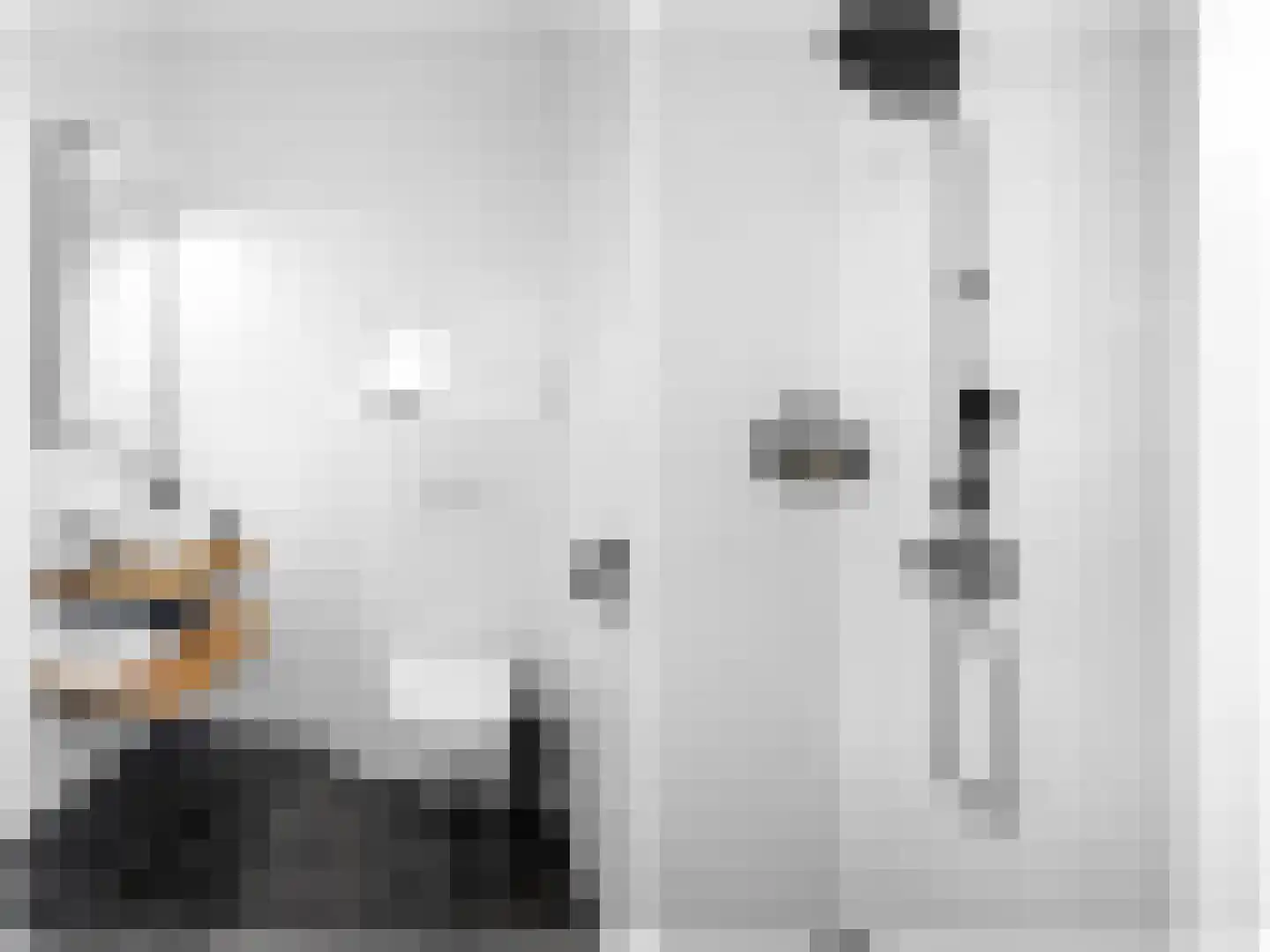De Terp 33 Witmarsum thumbnail 18