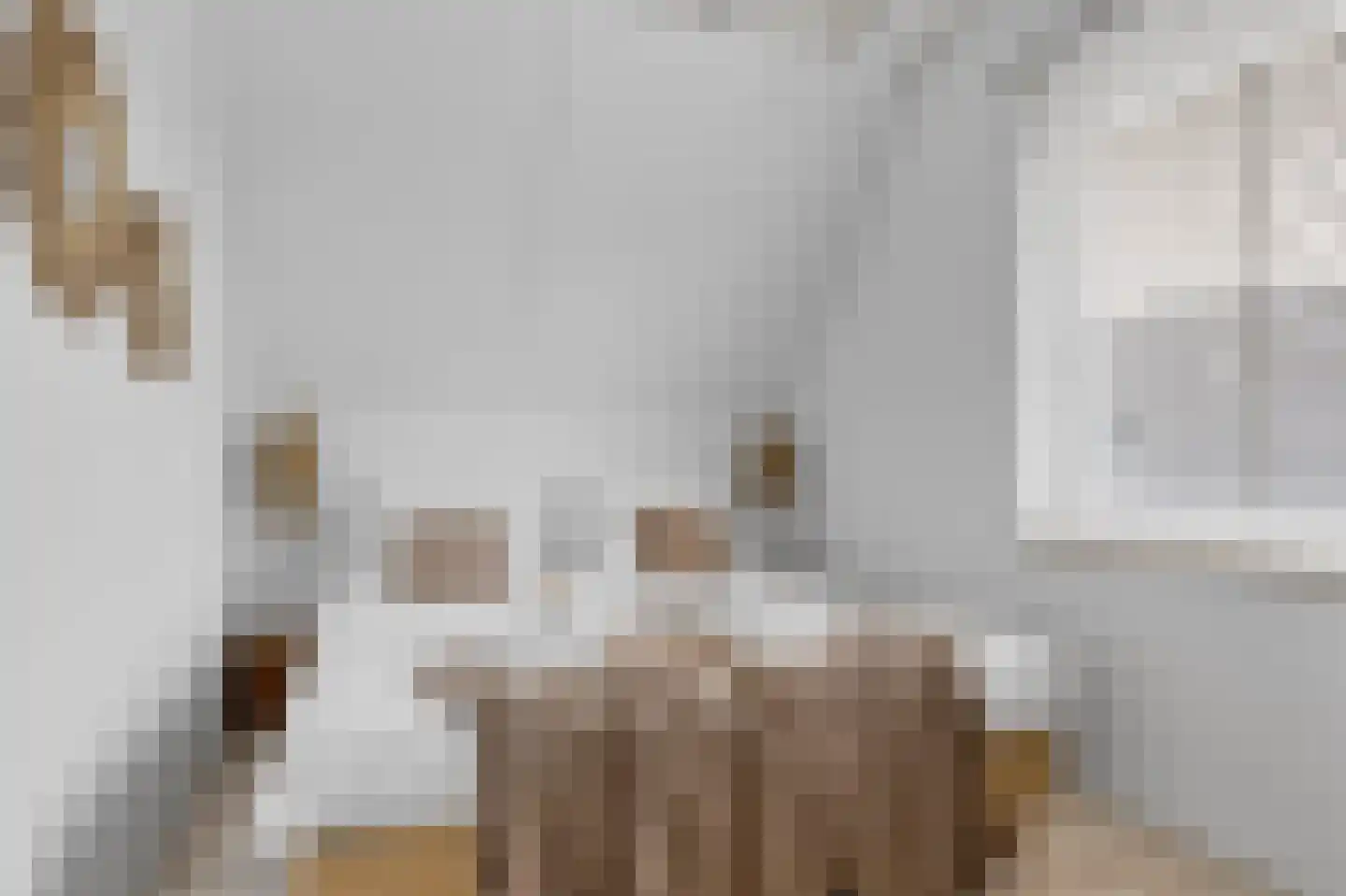 De Terp 33 Witmarsum thumbnail 22