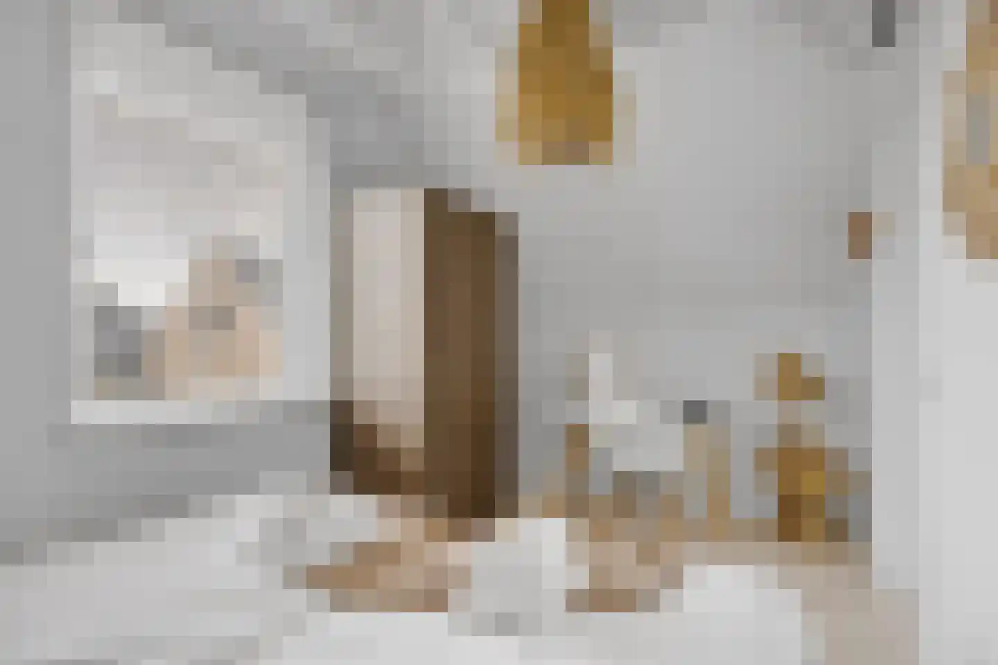 De Terp 33 Witmarsum thumbnail 23