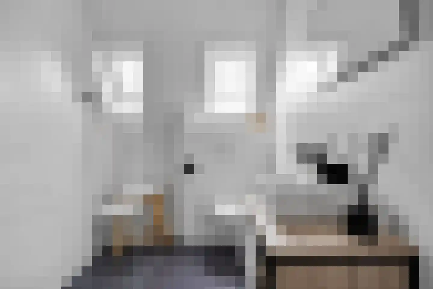 De Terp 33 Witmarsum thumbnail 24