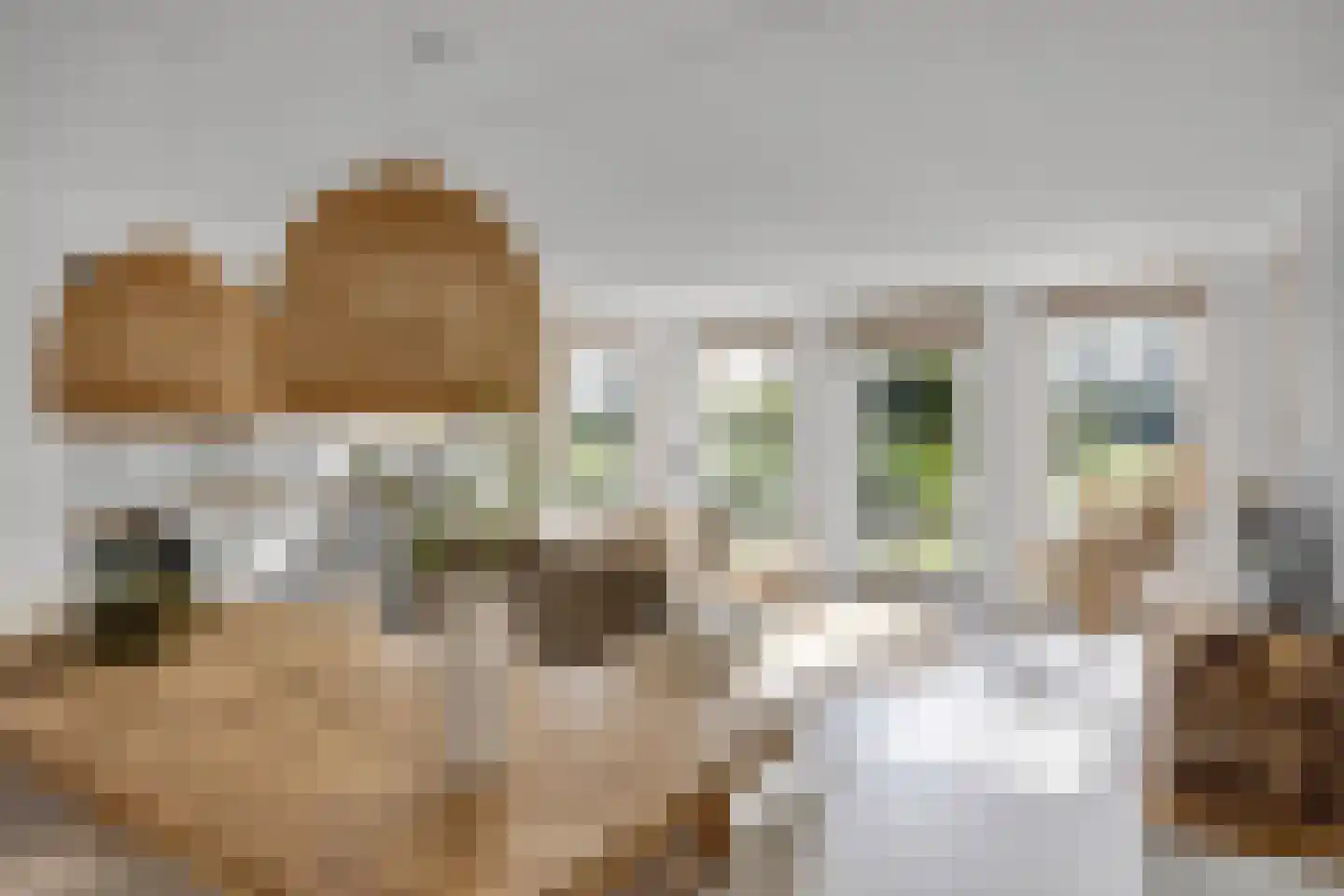 De Terp 33 Witmarsum thumbnail 8