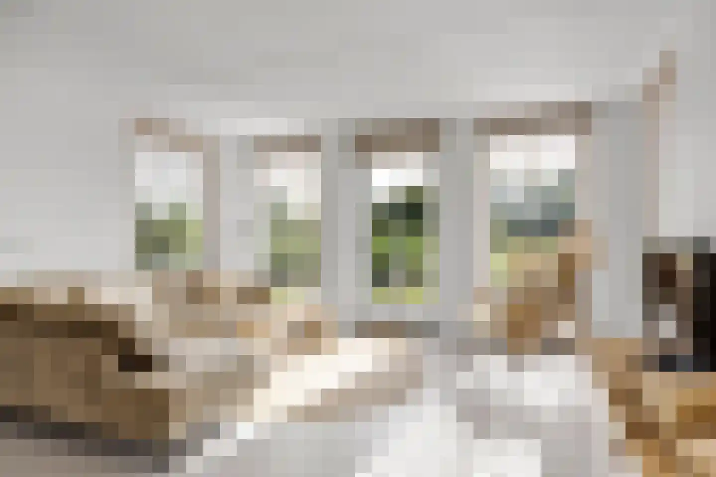 De Terp 33 Witmarsum thumbnail 9