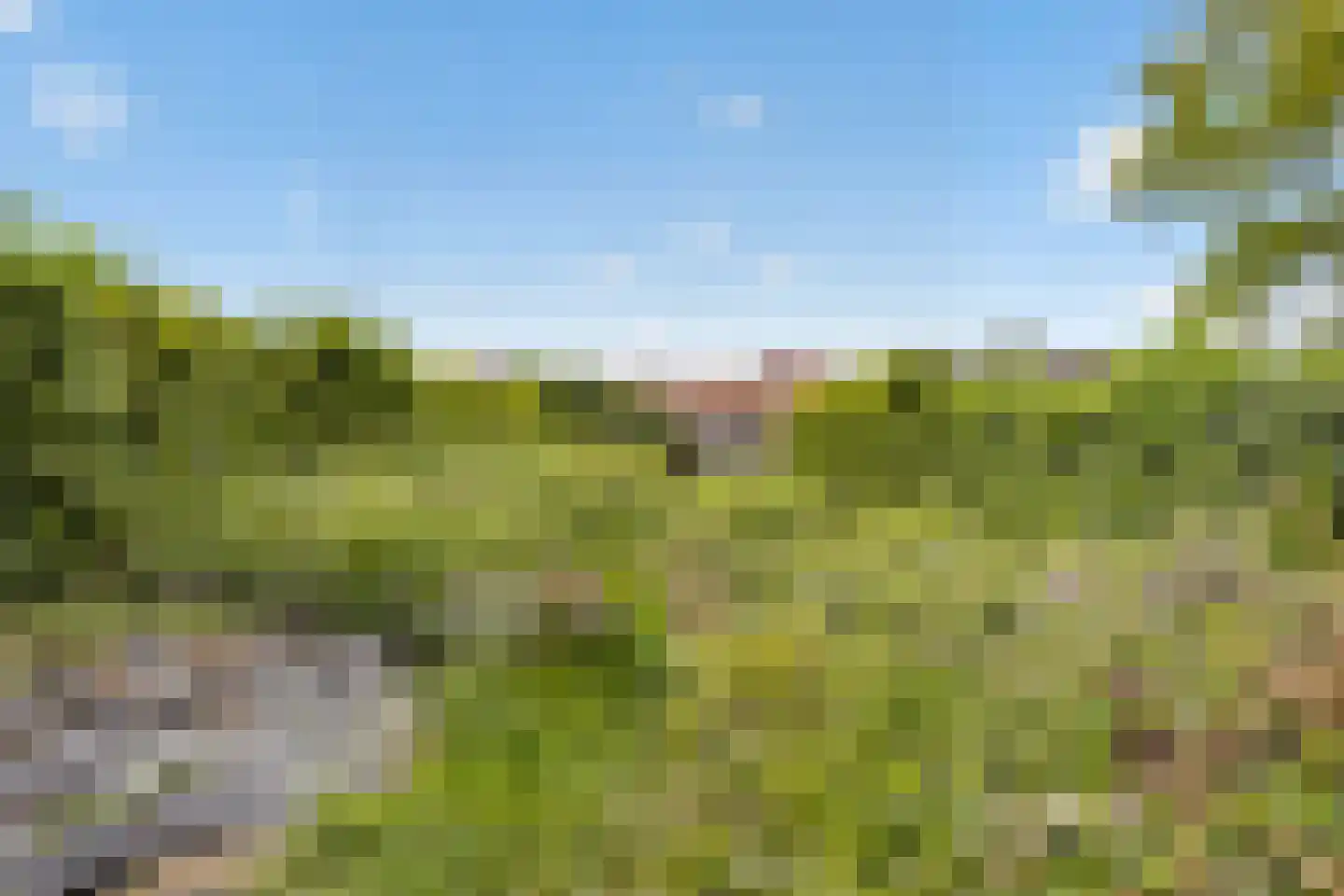 De Terp 49 D Veenendaal thumbnail 18