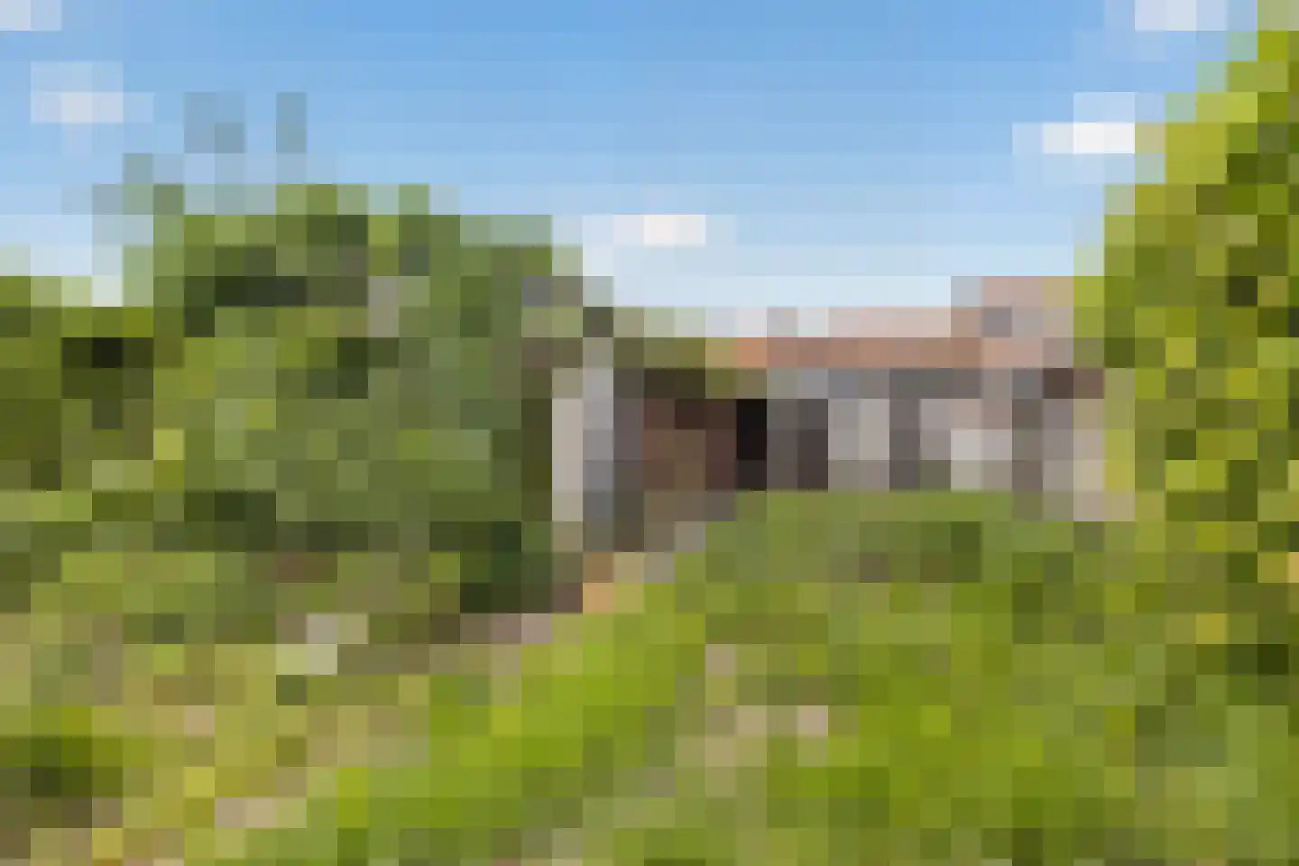 De Terp 49 D Veenendaal thumbnail 19