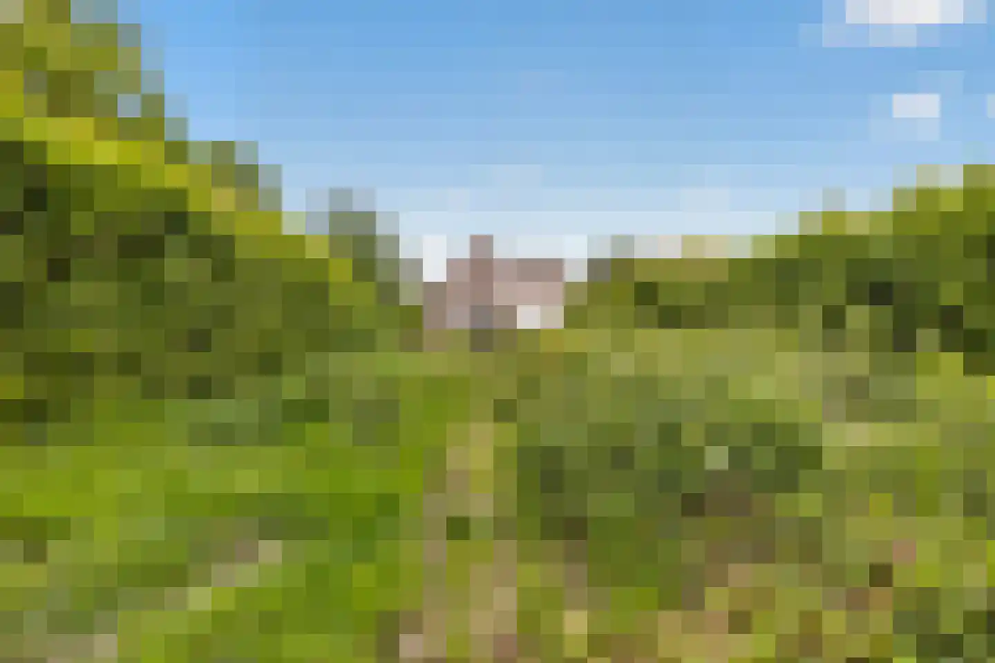 De Terp 49 D Veenendaal thumbnail 20