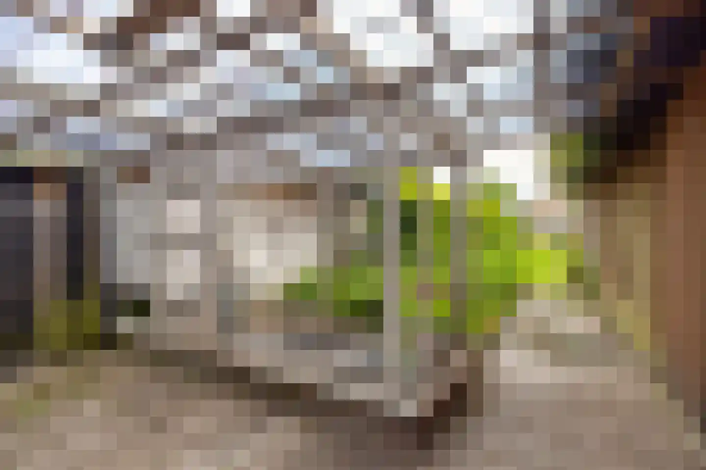 De Terp 49 D Veenendaal thumbnail 21