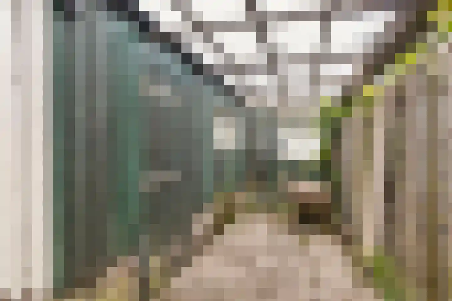 De Terp 49 D Veenendaal thumbnail 23