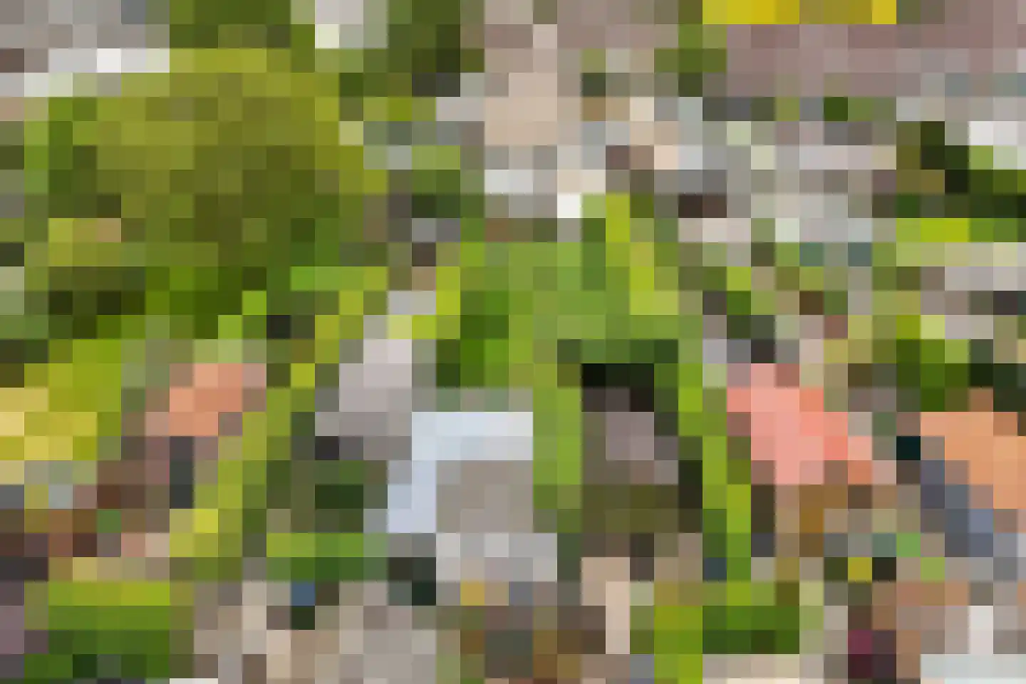 De Terp 49 D Veenendaal thumbnail 31