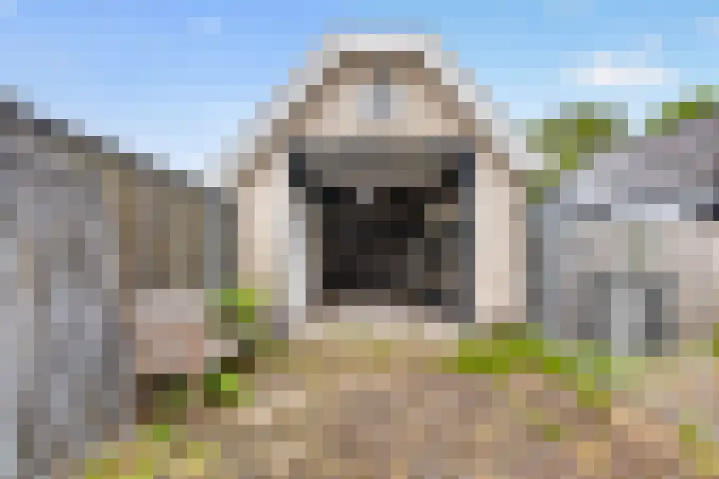 De Terp 49 D Veenendaal thumbnail 9