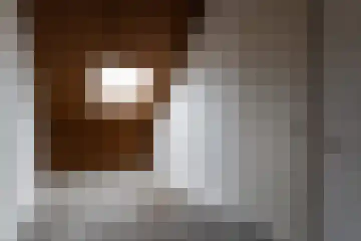De Terp 5 Geldermalsen thumbnail 15