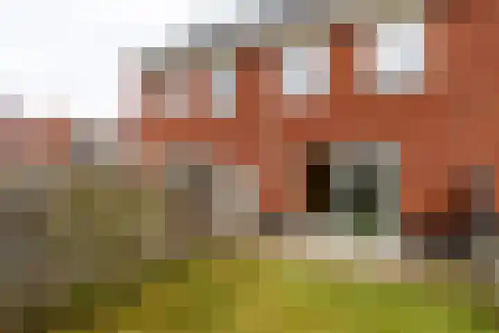 De Terp 5 Geldermalsen thumbnail 16