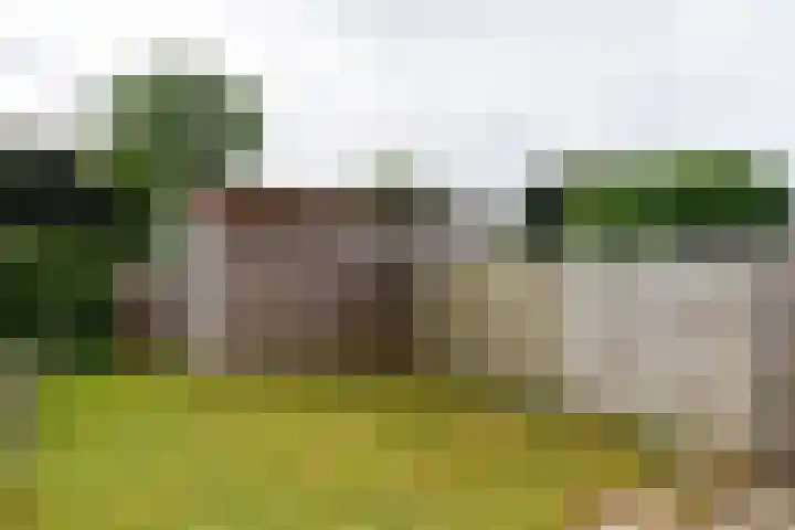 De Terp 5 Geldermalsen thumbnail 17