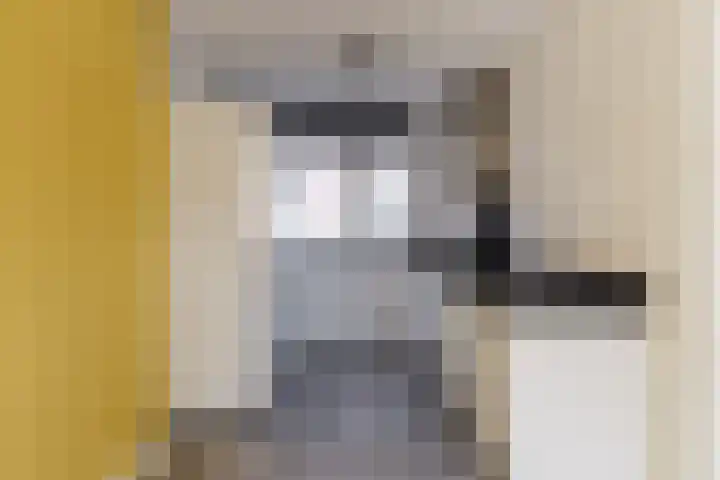 De Terp 5 Geldermalsen foto 3