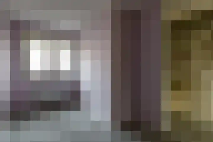 De Terp 5 Geldermalsen thumbnail 8