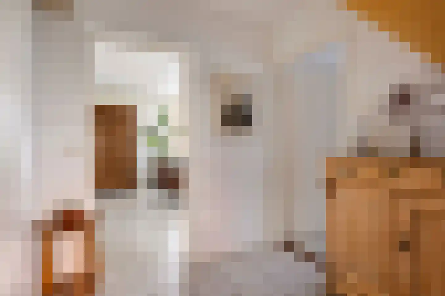 de Terp 5 Sneek thumbnail 10