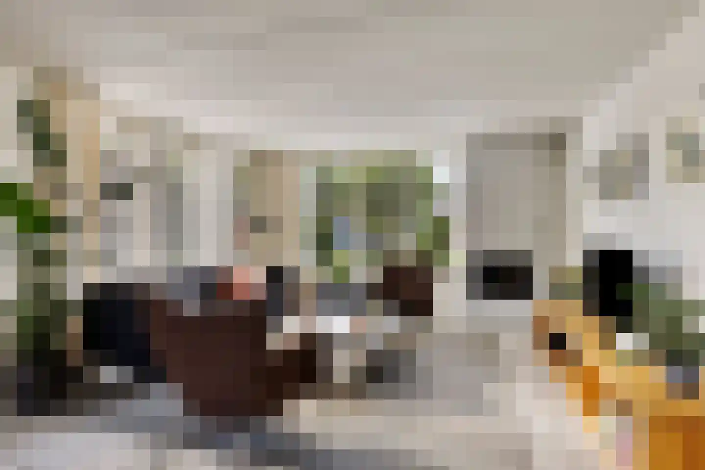 de Terp 5 Sneek thumbnail 11