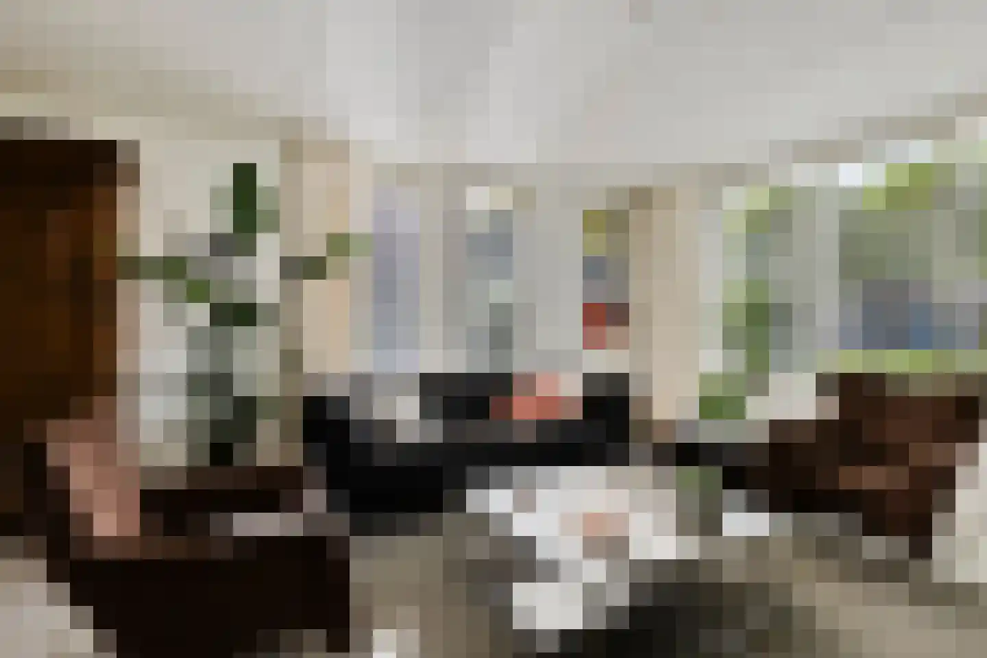 de Terp 5 Sneek thumbnail 13