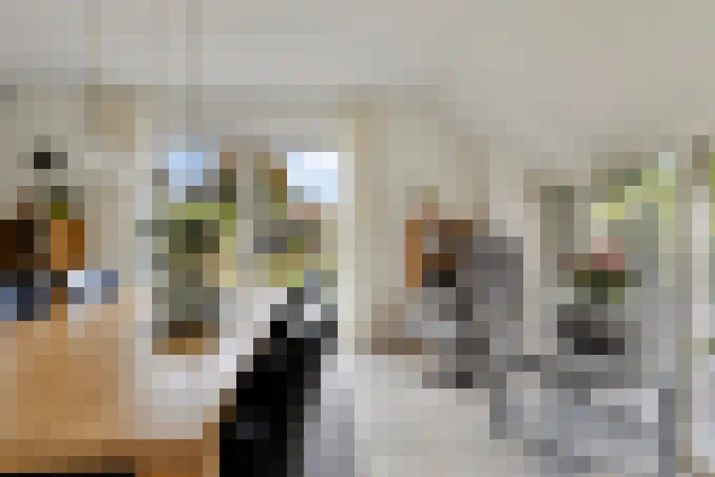 de Terp 5 Sneek thumbnail 15