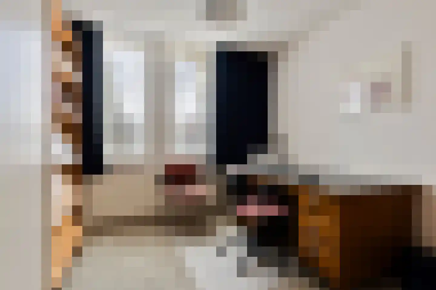 de Terp 5 Sneek thumbnail 19