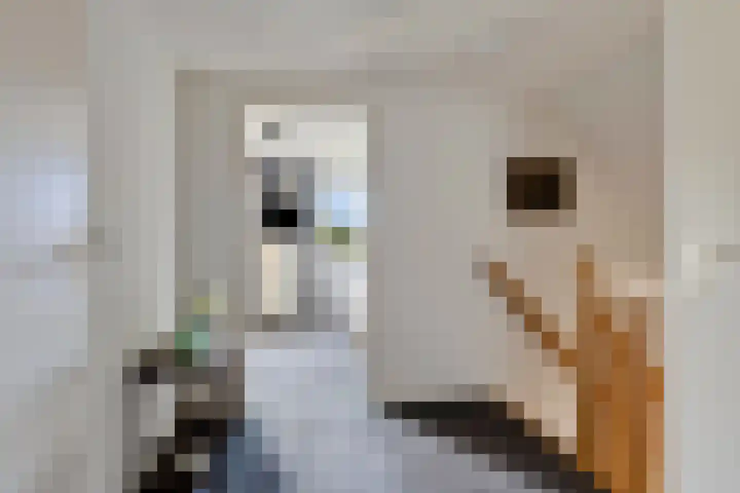 de Terp 5 Sneek thumbnail 20