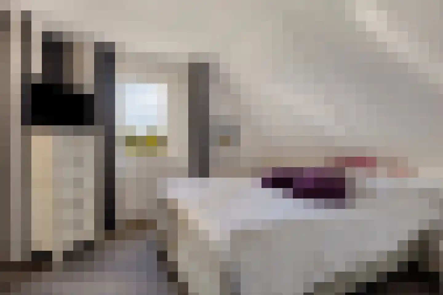 de Terp 5 Sneek thumbnail 21