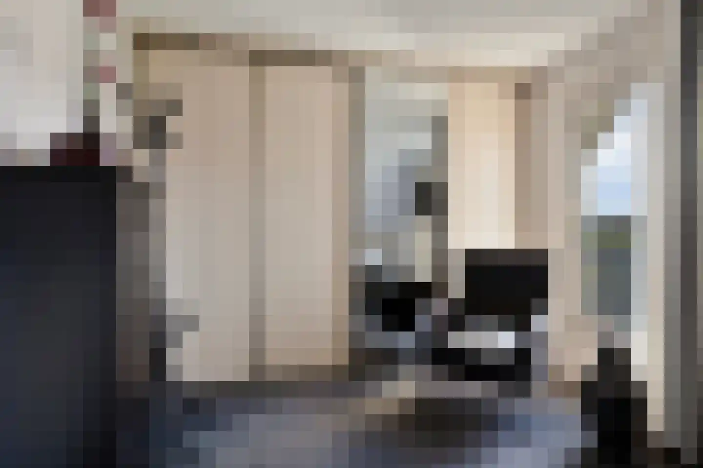 de Terp 5 Sneek thumbnail 22