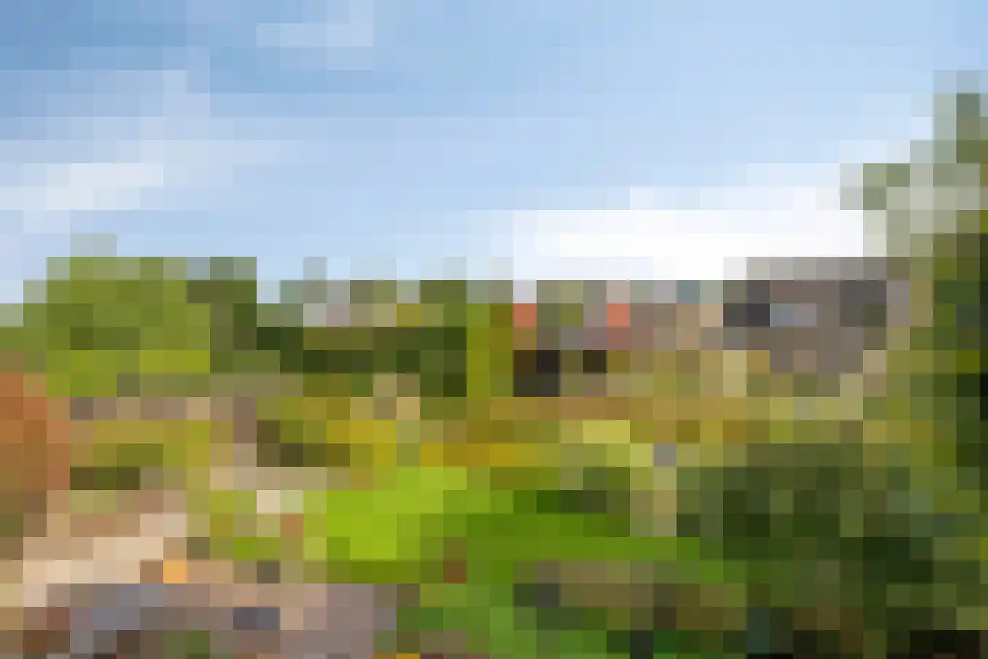 de Terp 5 Sneek thumbnail 29