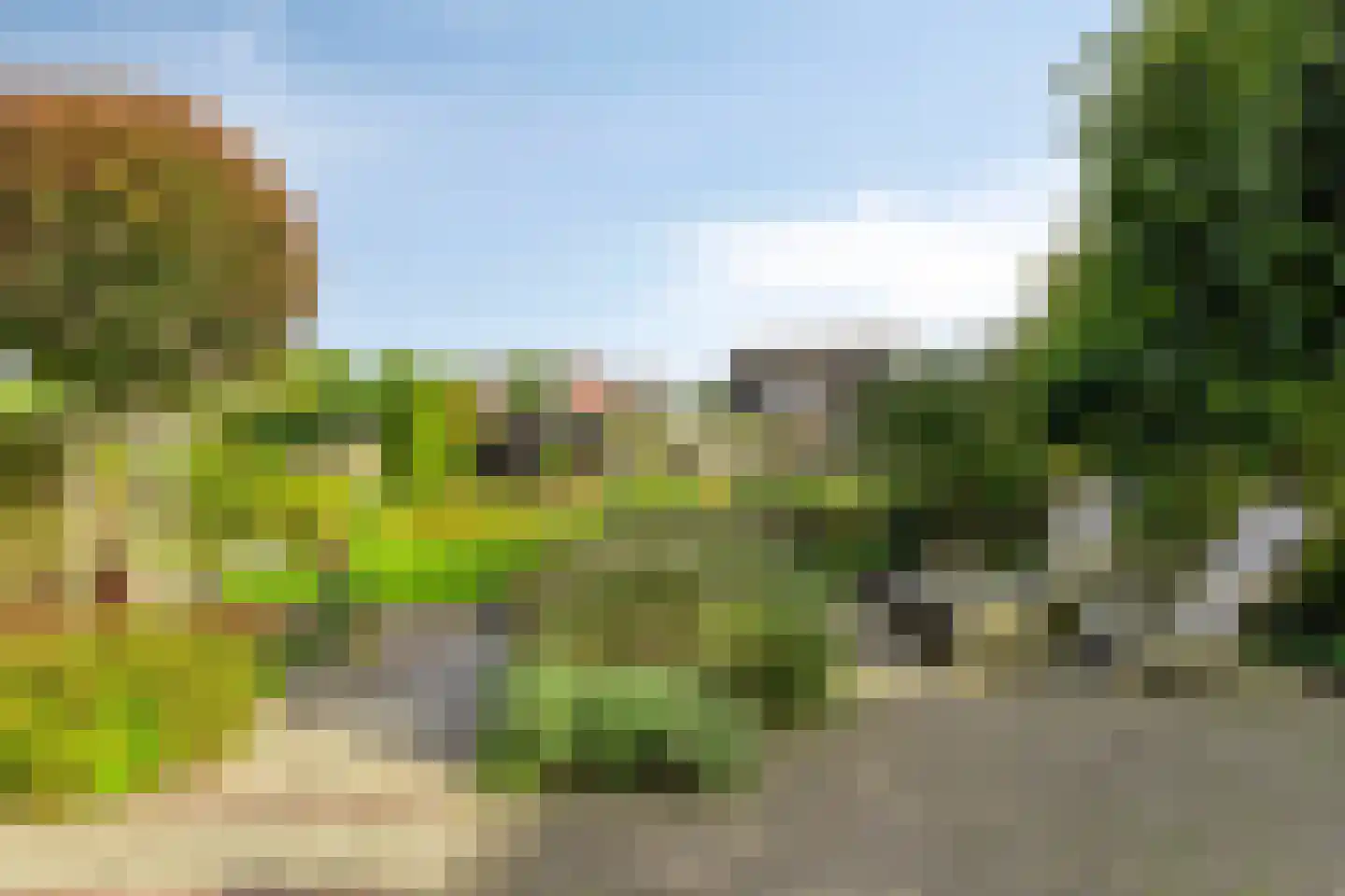 de Terp 5 Sneek thumbnail 31