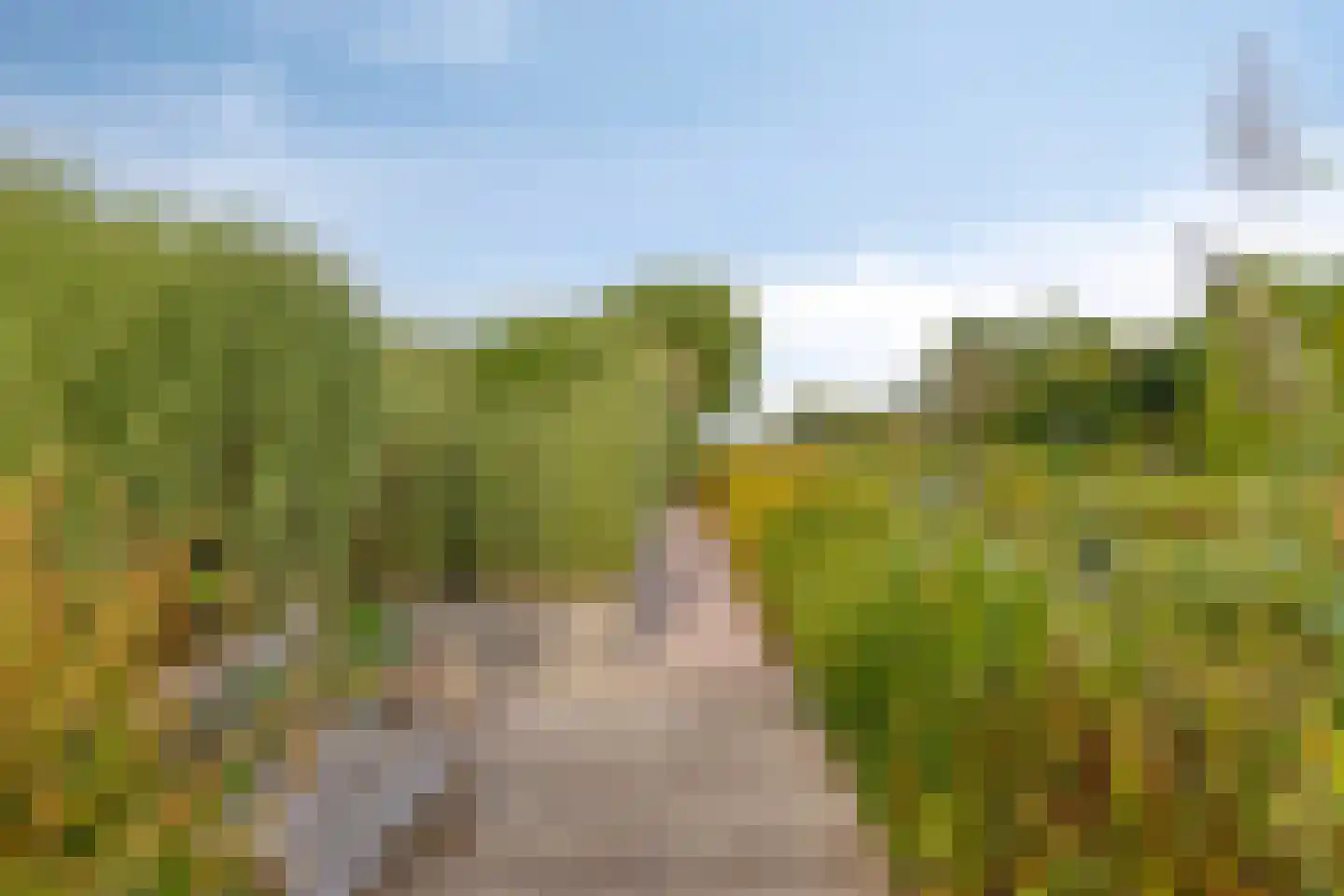 de Terp 5 Sneek thumbnail 34